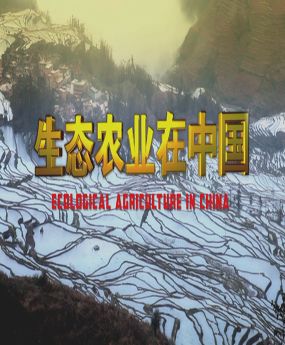 B(ti)r(nng)I(y)Ї(gu)