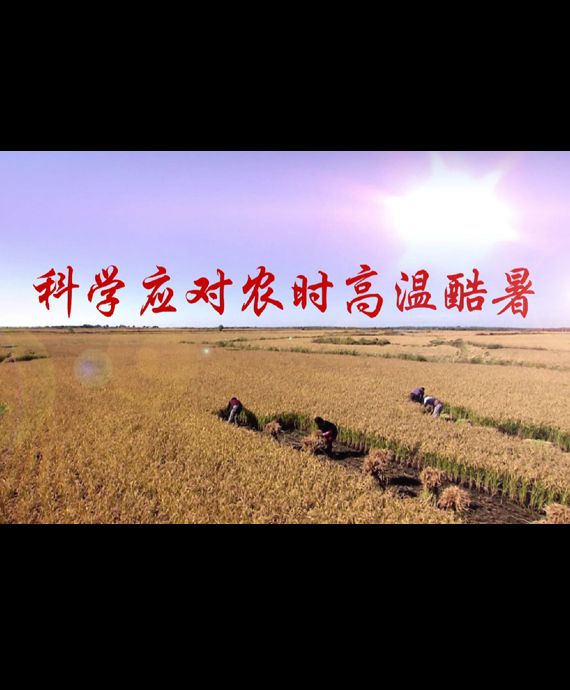 ƌW(xu)(yng)(du)r(nng)r(sh)ߜؿ