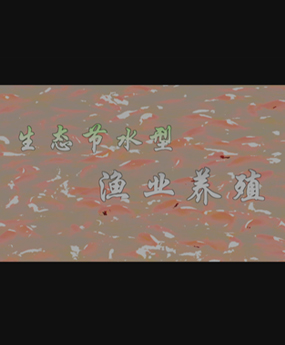 B(ti)(ji)ˮ͝OI(y)B(yng)ֳ